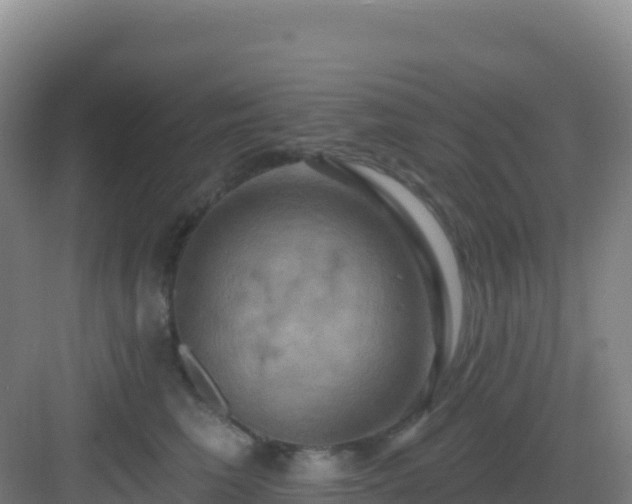 X0000083040613200702091411