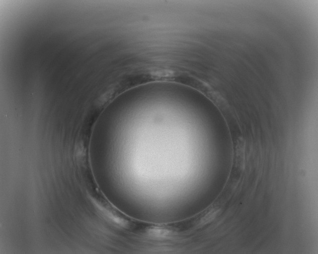 X0000083040614200702091411