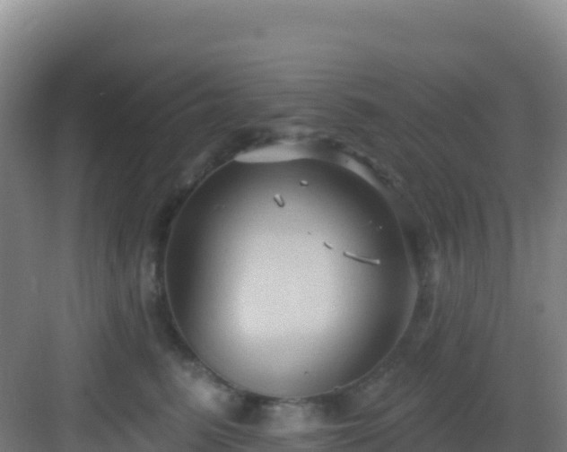 X0000083040615200702091410