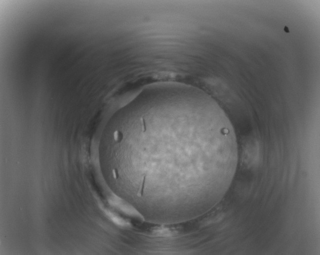 X0000083040616200702091410