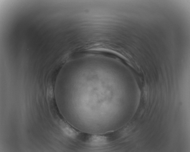 X0000083040617200702091410