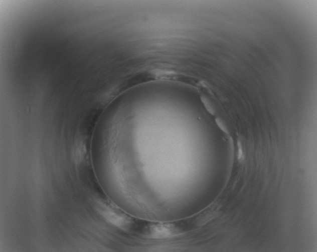 X0000083040618200702091410