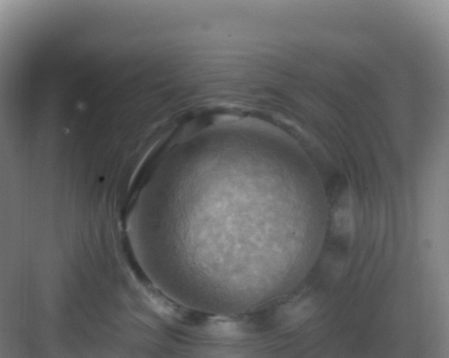 X0000083040620200702091410