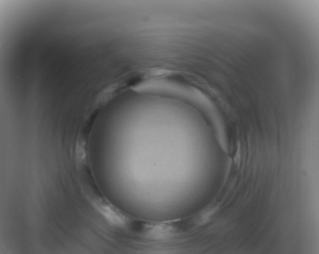 X0000083040621200702091410