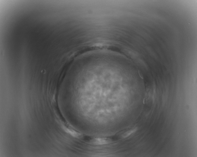 X0000083040623200702091410