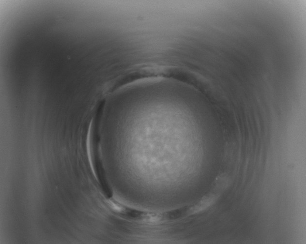 X0000083040624200702091410