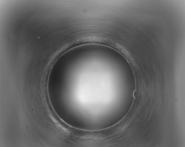 X0000083040625200702091410