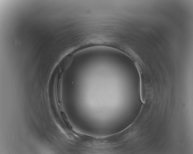 X0000083040626200702091410