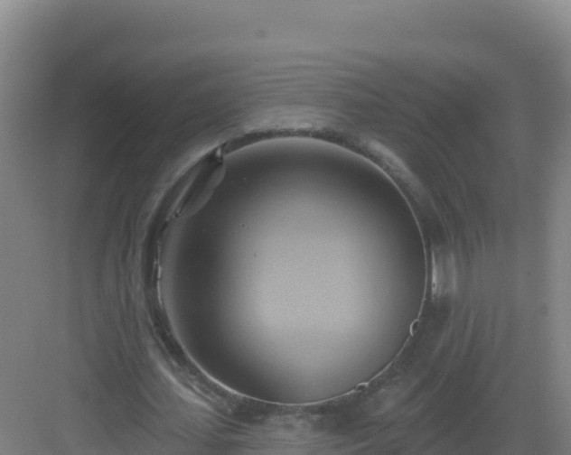 X0000083040627200702091410