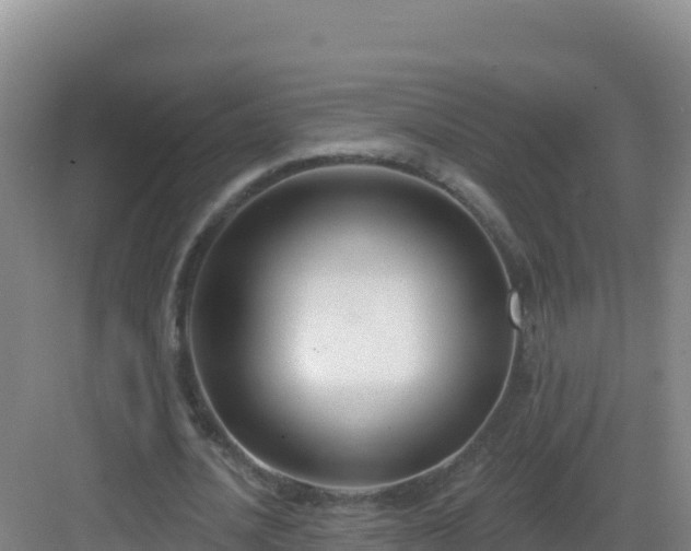 X0000083040628200702091410