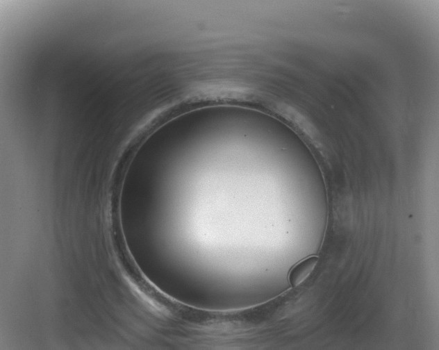 X0000083040629200702091410