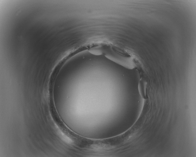 X0000083040630200702091410