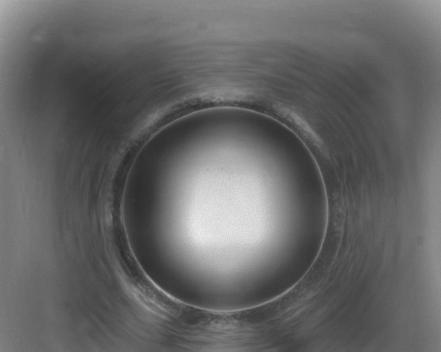 X0000083040631200702091410