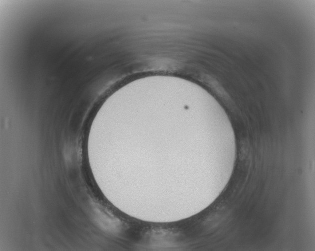 X0000083040632200702091410