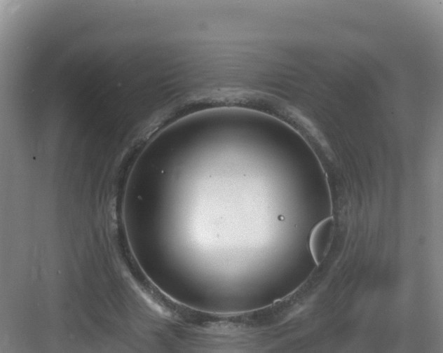 X0000083040633200702091410