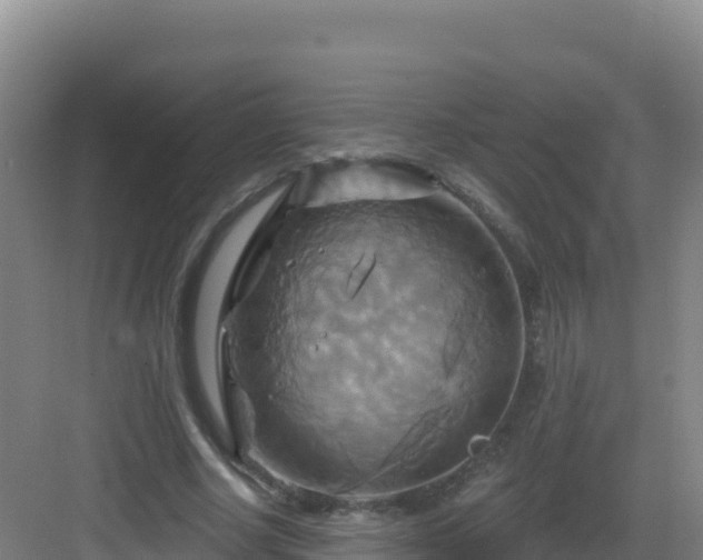 X0000083040634200702091410