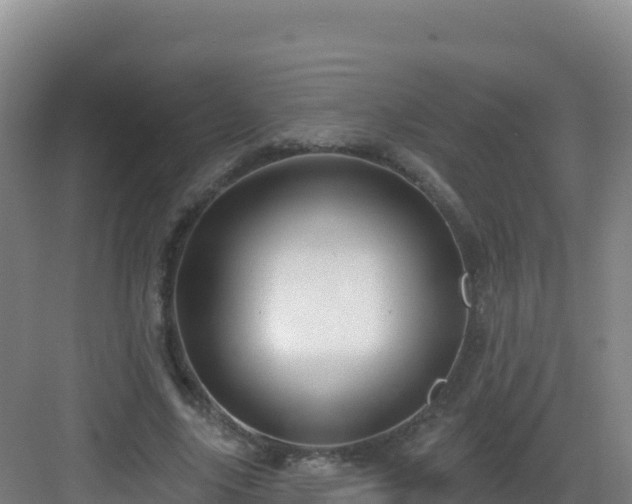 X0000083040635200702091410