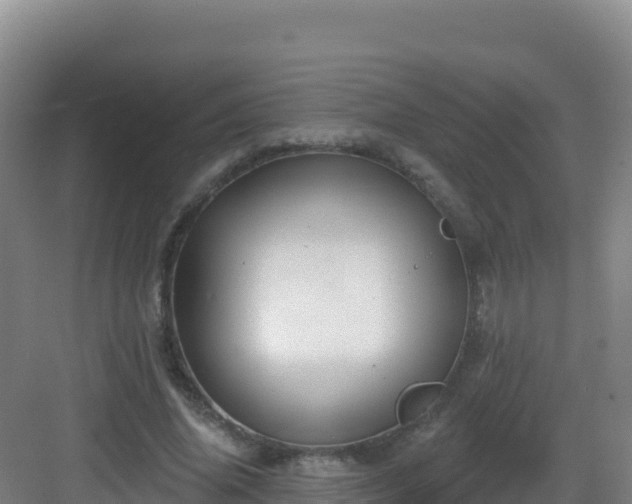 X0000083040636200702091410