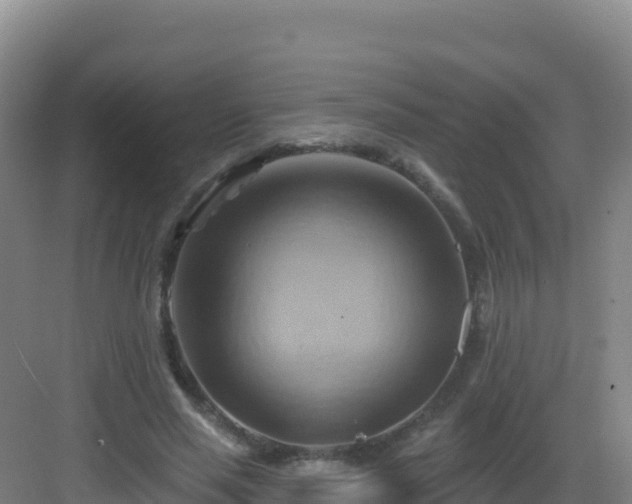 X0000083040637200702091410