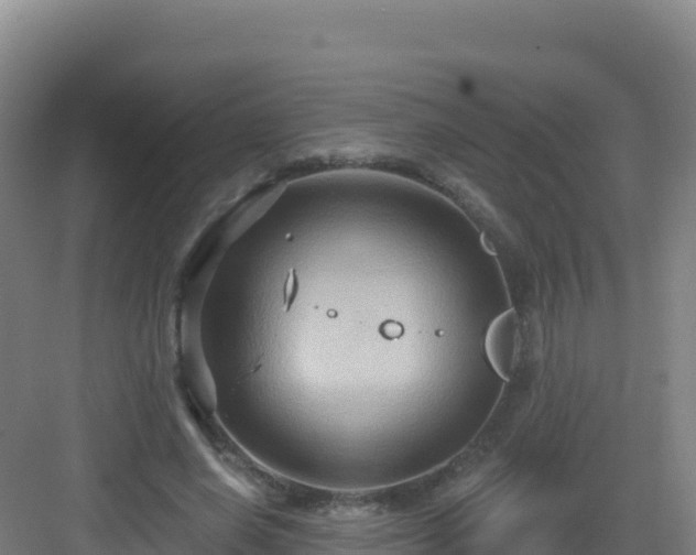 X0000083040638200702091410