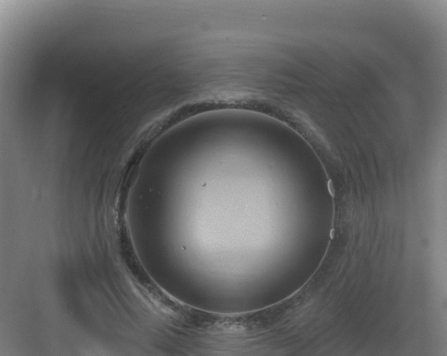 X0000083040640200702091410