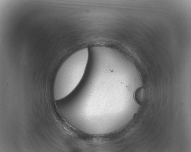 X0000083040641200702091410