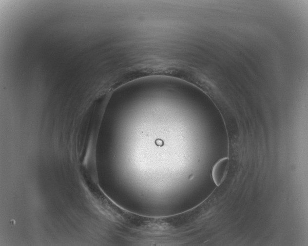 X0000083040642200702091410