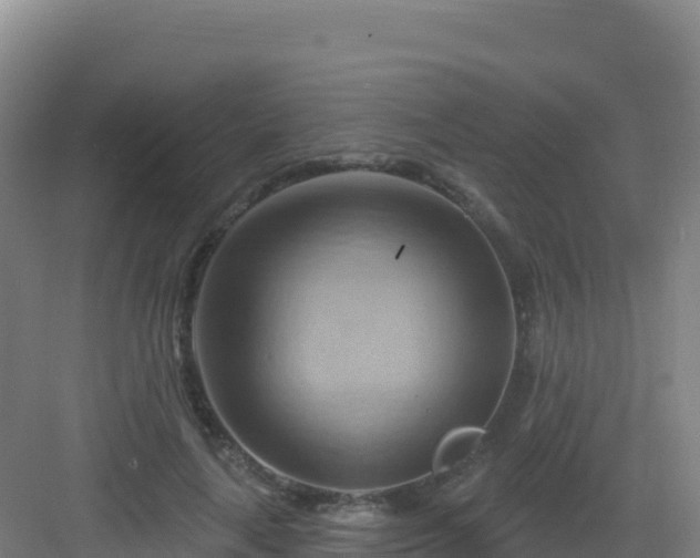 X0000083040643200702091410