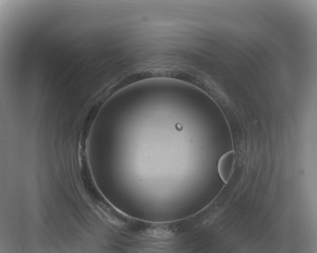 X0000083040644200702091410