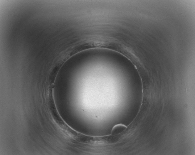 X0000083040645200702091410