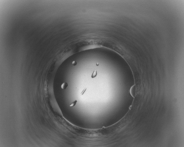 X0000083040646200702091410