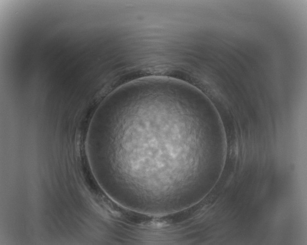 X0000083040647200702091410