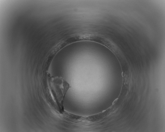 X0000083040648200702091410