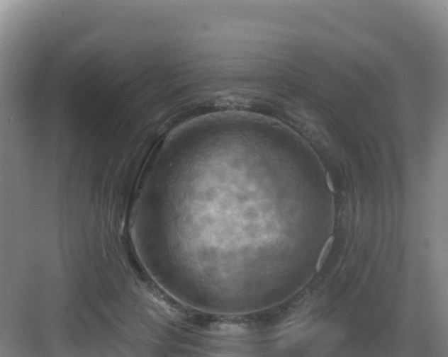 X0000083040649200702091410