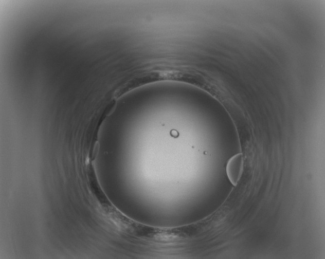 X0000083040650200702091410