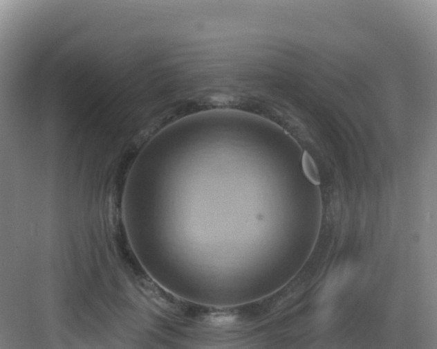 X0000083040651200702091410