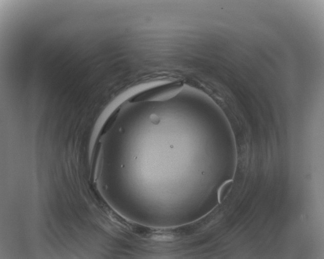 X0000083040653200702091410