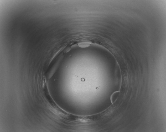 X0000083040654200702091410