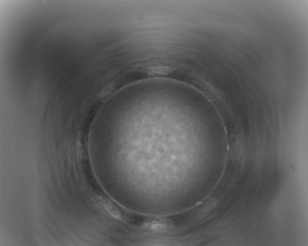 X0000083040655200702091410