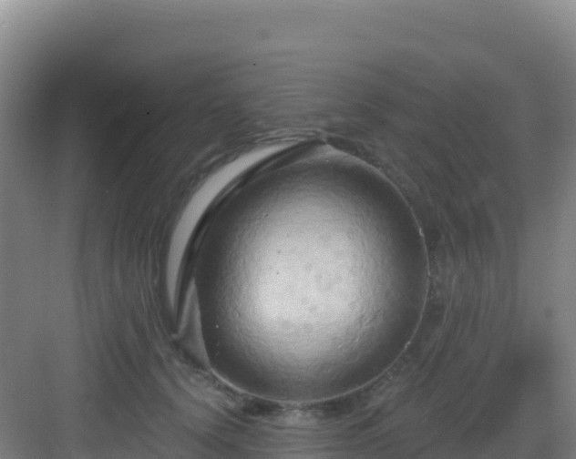 X0000083040656200702091410