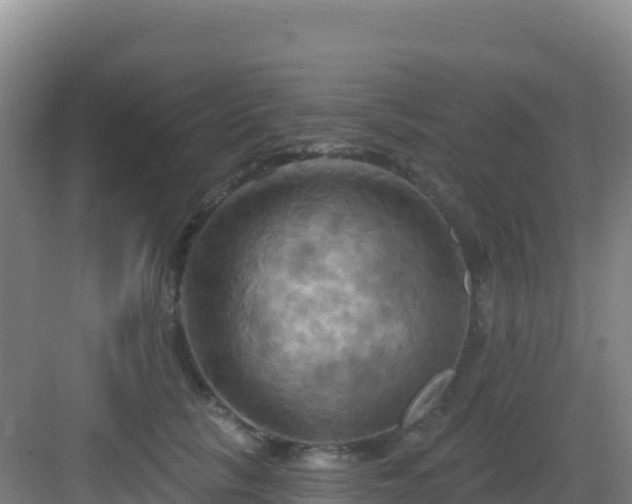 X0000083040657200702091410