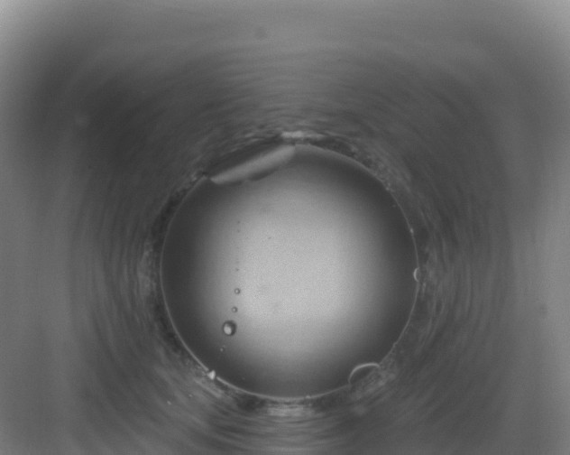 X0000083040659200702091410