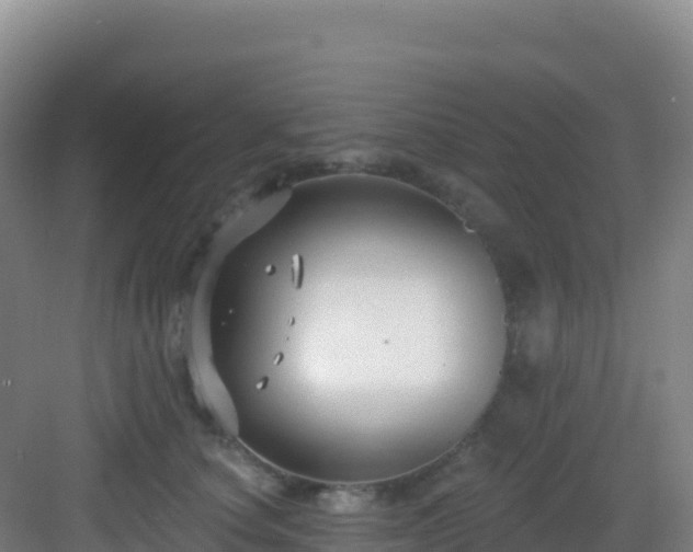 X0000083040660200702091410