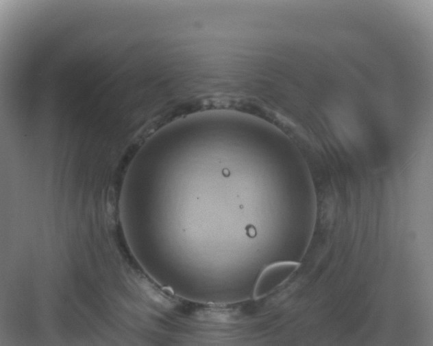 X0000083040661200702091410