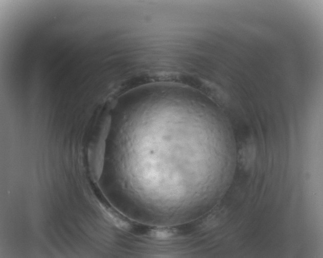 X0000083040662200702091410