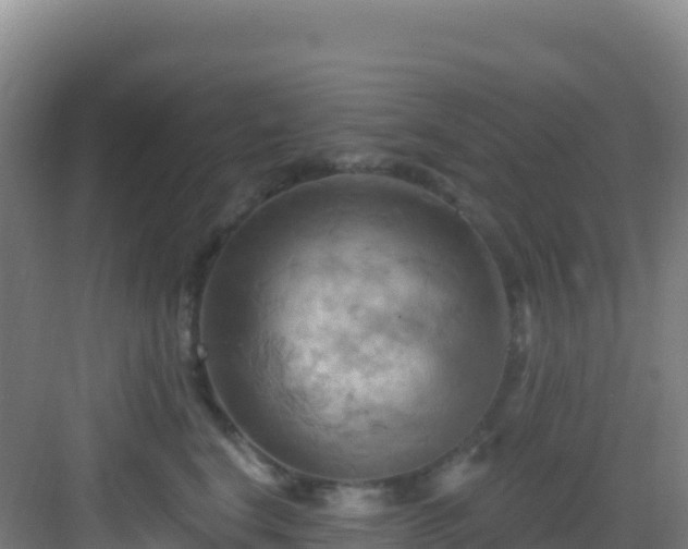 X0000083040664200702091410