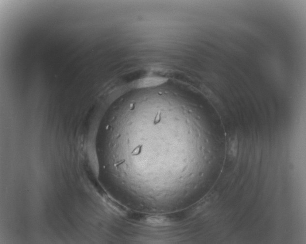 X0000083040666200702091410