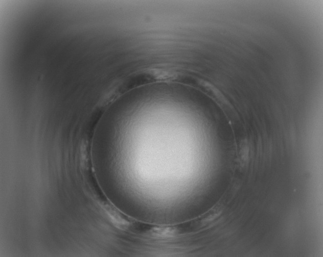 X0000083040667200702091410