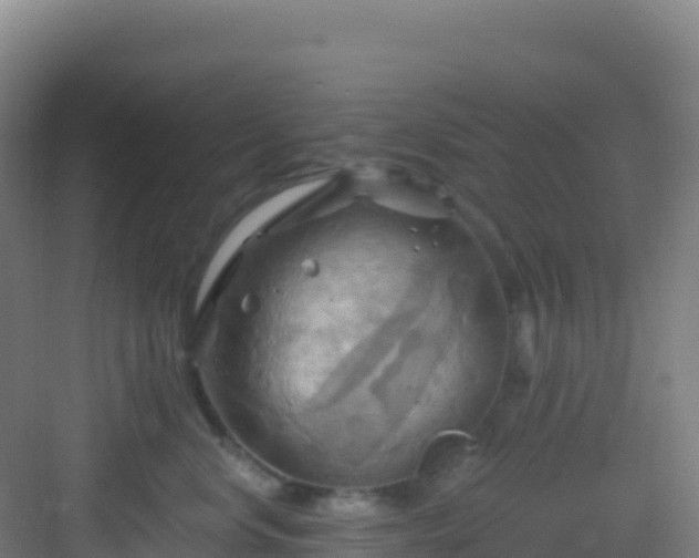 X0000083040668200702091410