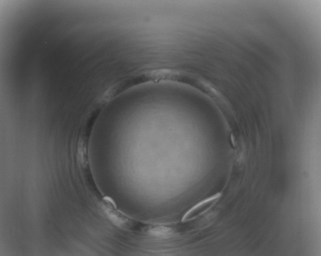 X0000083040669200702091410